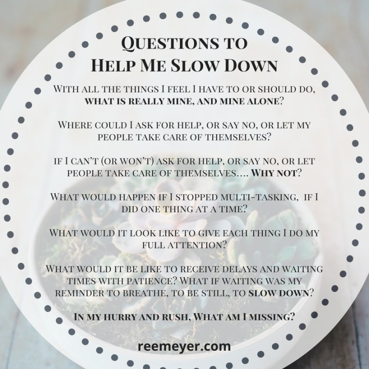 Questions to help me slow down