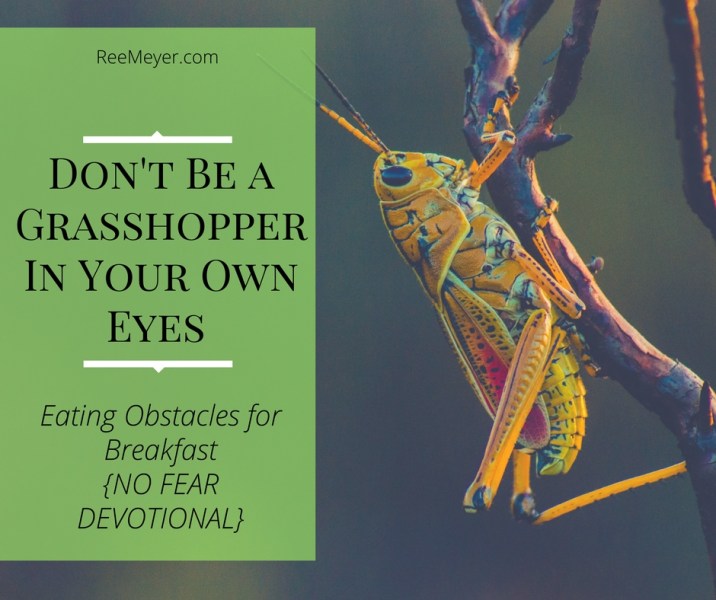 Are you facing challenges that make you feel like a grasshopper? Look to Joshua and Caleb and learn to eat those obstacles for breakfast. (No Fear Devotional from reemeyer.com)