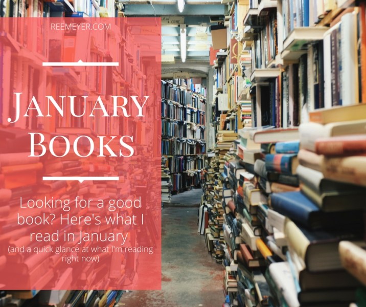 January Book Reviews: Braving the Wilderness; Daring to Hope; Maisie Dobbs; The Lilac Girls