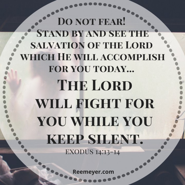 Do you feel trapped, like there's no way out? Read this {No Fear} devotional about trusting God to lead you on the way THROUGH.